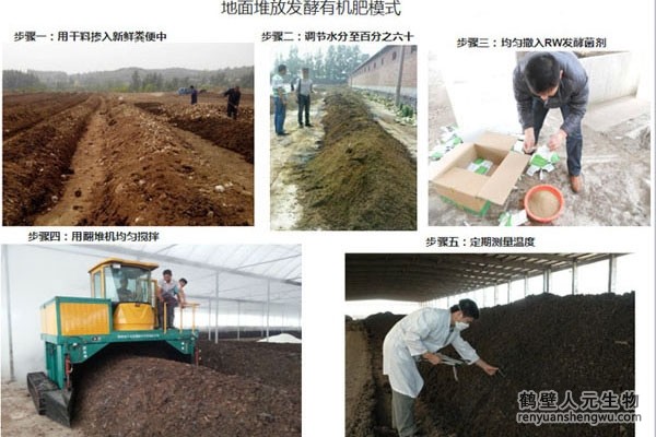 为什么要选择有机肥而不是无机肥