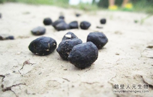 有机肥是什么，有机肥的原材料来源于哪里