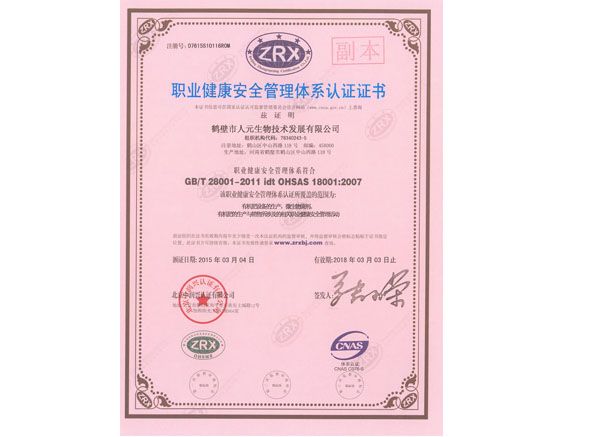 人元职业健康安全管理体系认证证书