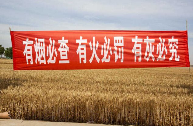 黑龙江秸秆利用，小秸秆变成大生意