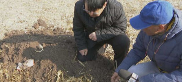 黑龙江秸秆利用，小秸秆变成大生意