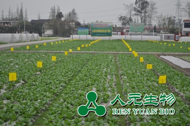 诱虫板的诱杀原理及使用方法