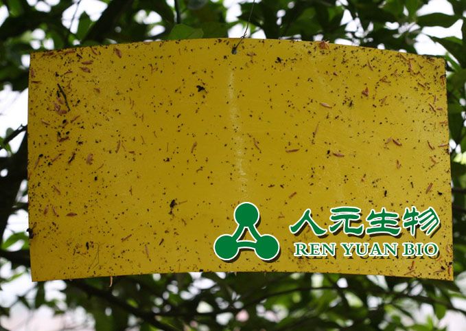 诱虫板的诱杀原理及使用方法