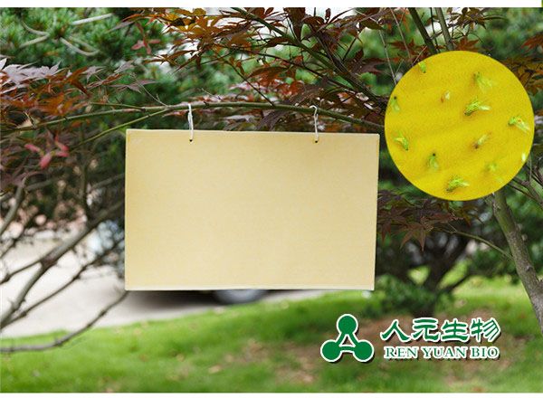 诱虫板的诱杀原理及使用方法