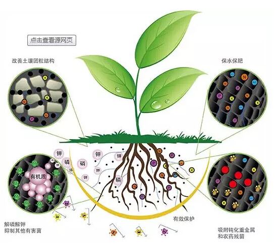 科学施用生物菌肥好处多多！