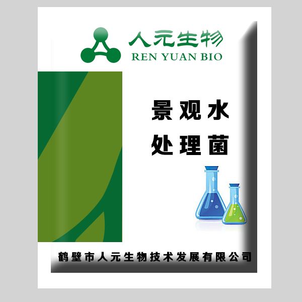 景观水处理菌