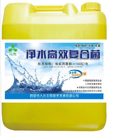 净化高校复合菌