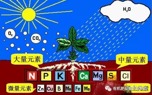 有机肥发酵_禽粪发酵不彻底的危害_家畜农家肥