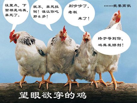 鸡粪生产有机肥的技术_鸡粪怎么做成有机肥