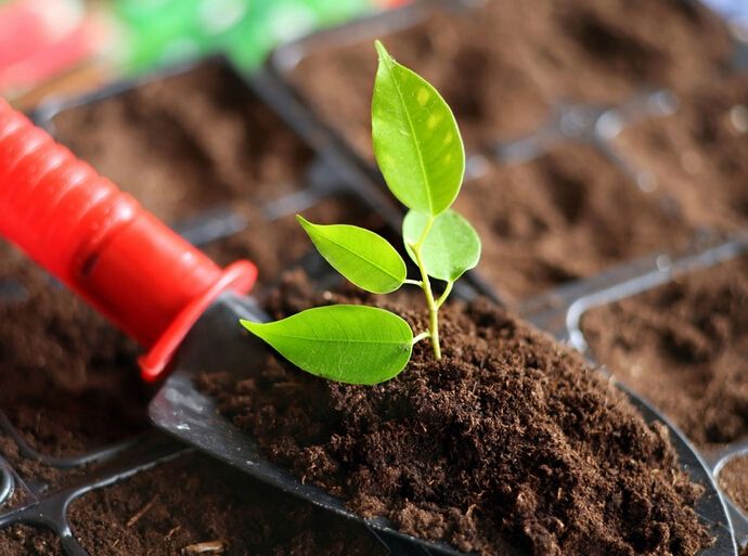 微生物肥料在蔬菜生产中的正确选用丨微生物肥料