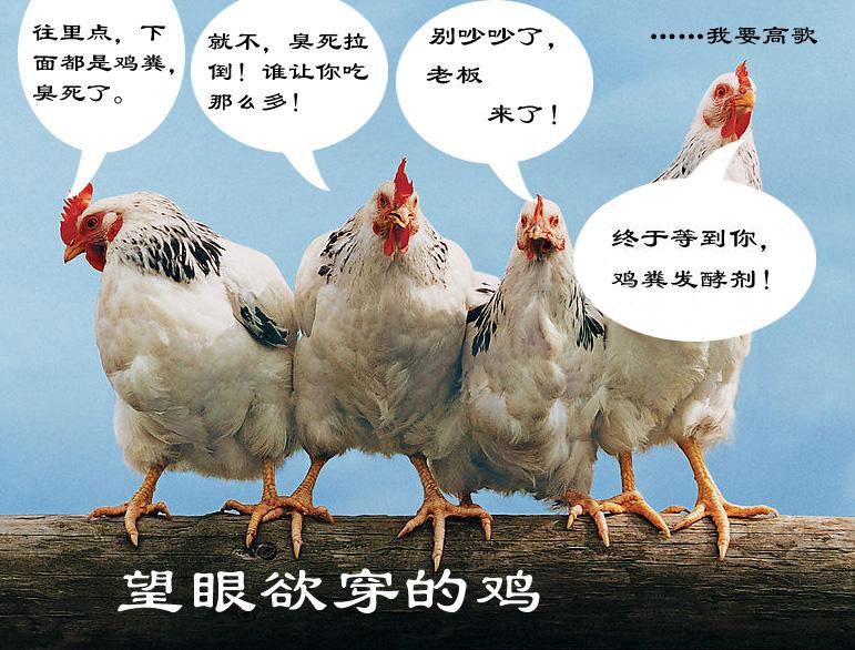 堆肥气味中常见的情况
