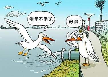 【刻不容缓】养殖场粪污处理_环保新政猛于虎