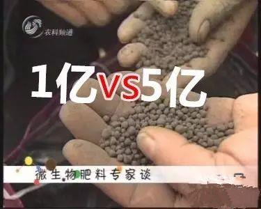 生物菌肥_菌肥_到底是5亿好还是1亿的好！