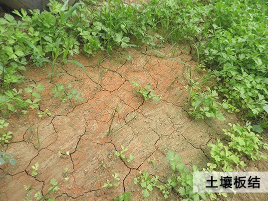 【关注】农业部为什么大力推广有机肥：有机肥的长期不足、缺失破坏了土壤结构