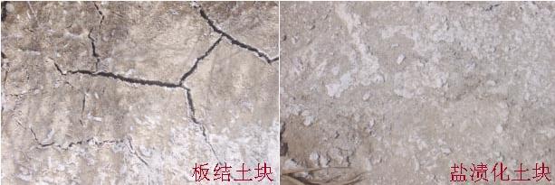 【关注】农业部为什么大力推广有机肥：有机肥的长期不足、缺失破坏了土壤结构
