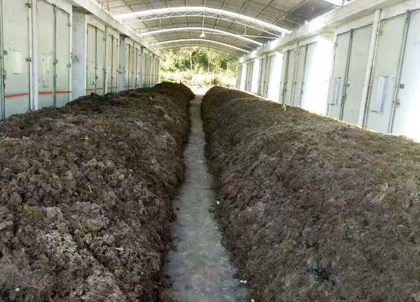 生物有机肥物料堆放在发酵棚发酵