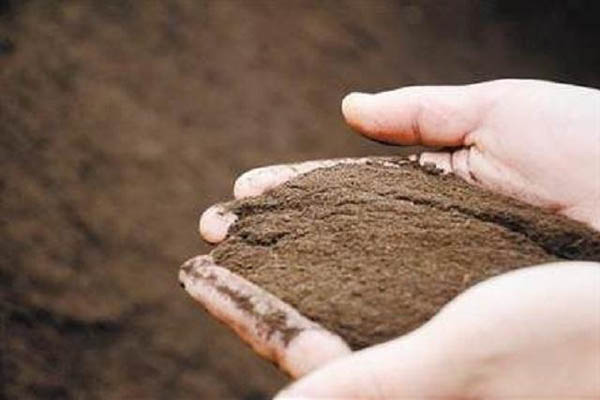有机肥传统加工技术和现代加工技术对比