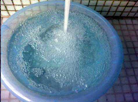 蚜虫怎么治_蚜虫的防治方法_13种消灭蚜虫的好方法