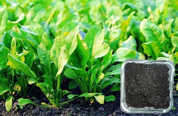 生物有机肥料行业标准解读