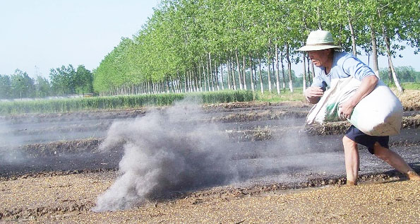 钾肥是什么肥料，钾肥的种类有哪些？