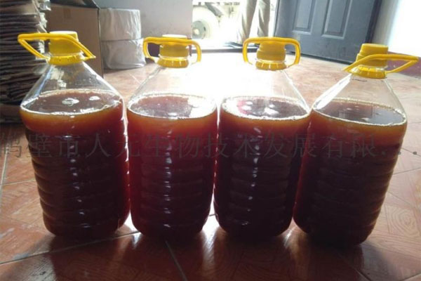 液体发酵菌种样品