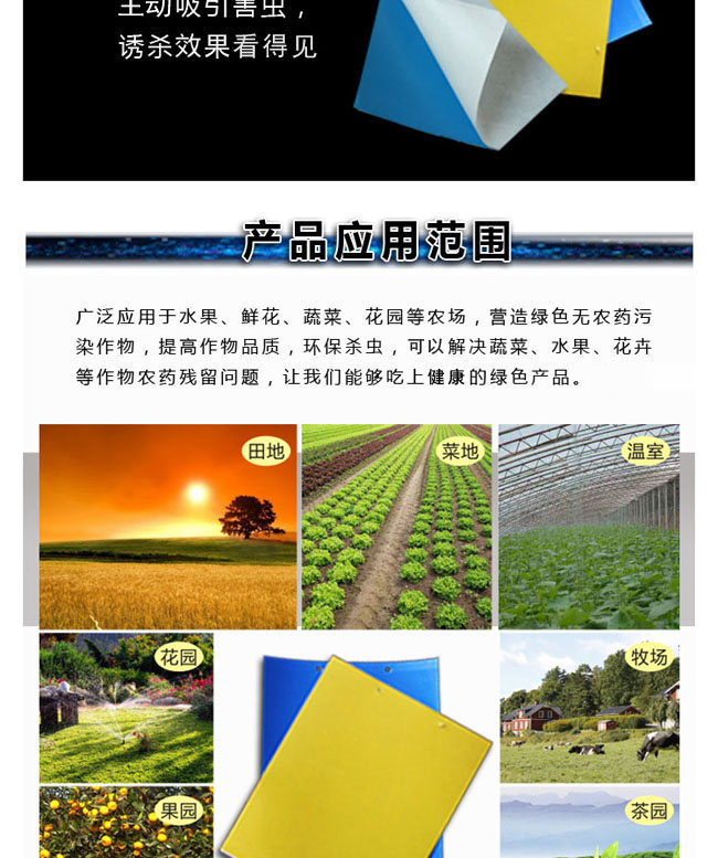 诱虫板 粘虫板