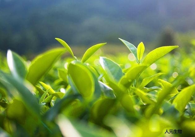 微生物菌剂为什么价格这么高还受到大家喜欢？