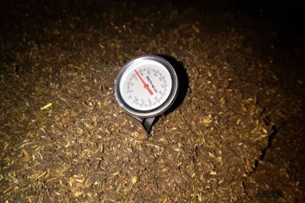 有机肥应该发酵多少天，需要经历几个阶段？