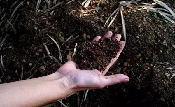 各种不同原料生产的有机肥哪个效果好？