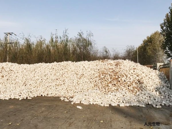 使用蘑菇菌渣建有机肥厂要考虑哪些因素?