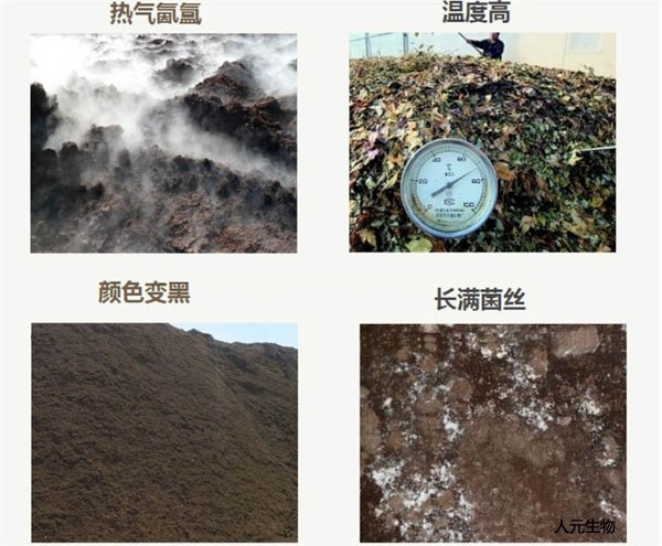 畜禽粪便好氧堆肥发酵技术