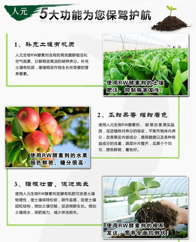 1公斤规格Rw酵素剂功能介绍
