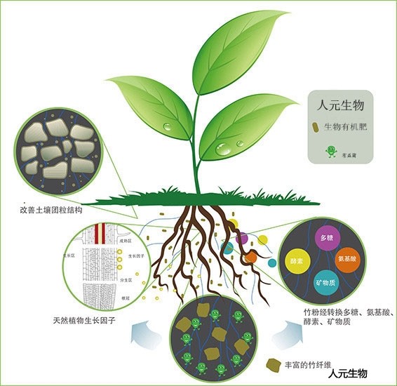 有机肥施用方法与技术