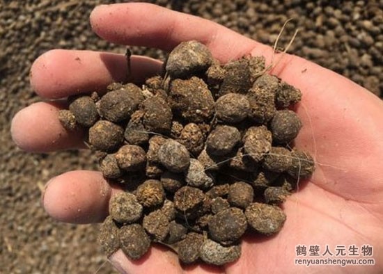 羊粪发酵制作有机肥生产工艺