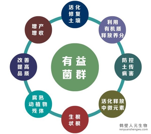 都说微生物菌剂产品贵，你却不知道土壤微生物到底有多重要！