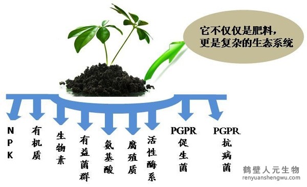 都说微生物菌剂产品贵，你却不知道土壤微生物到底有多重要！