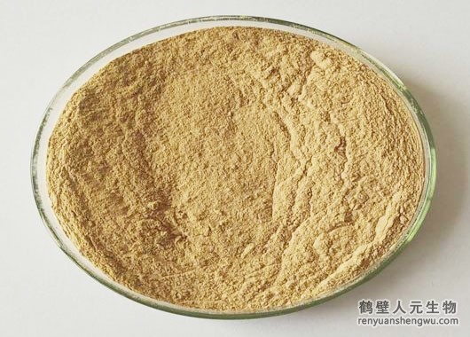巨大芽孢杆菌