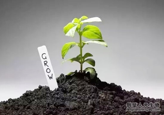 家庭8种自制有机肥的方法