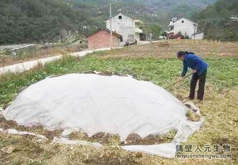 如何自制有机肥