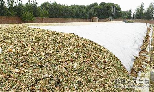 鸡粪怎么处理？人元生物来帮忙