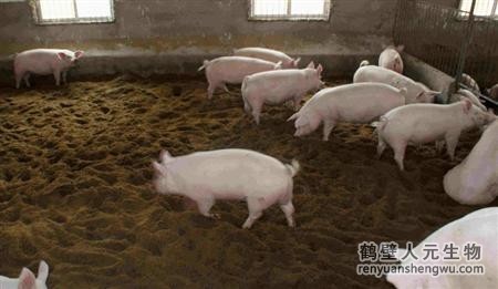 动物粪便的成分究竟是什么？