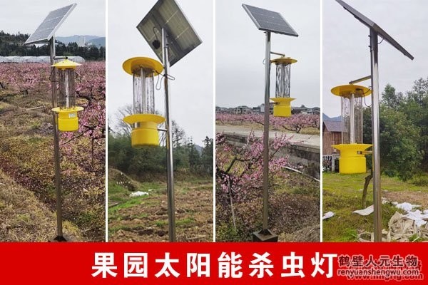 太阳能频振式杀虫灯使用案例