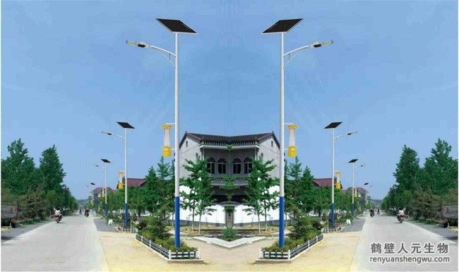 太阳能路灯式杀虫灯应用