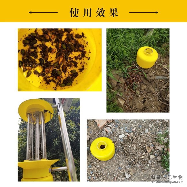 太阳能风吸式杀虫灯使用效果