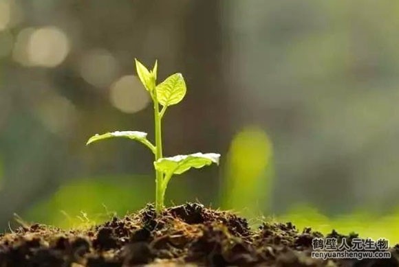 生产生物有机肥的注意点