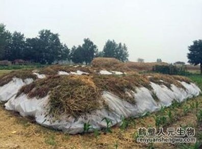 有机肥发酵重要阶段