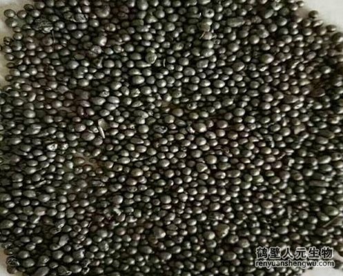 沼渣猪粪发酵生产有机肥设备技术