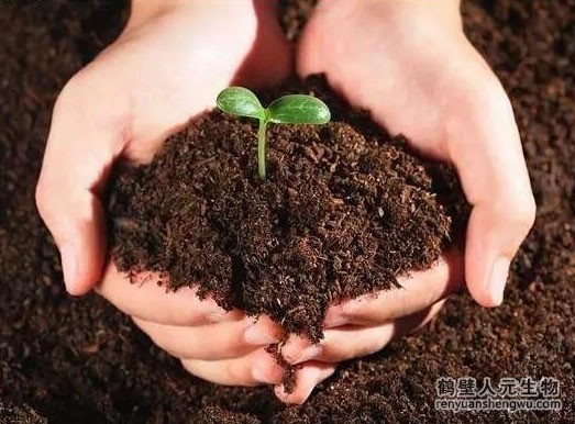 生物发酵生产有机肥料的优点