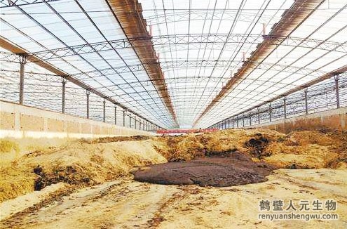 养牛场如何利用牛粪和有机肥设备致富