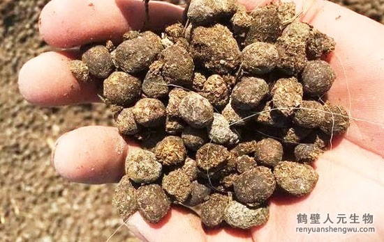 羊粪有机肥优点